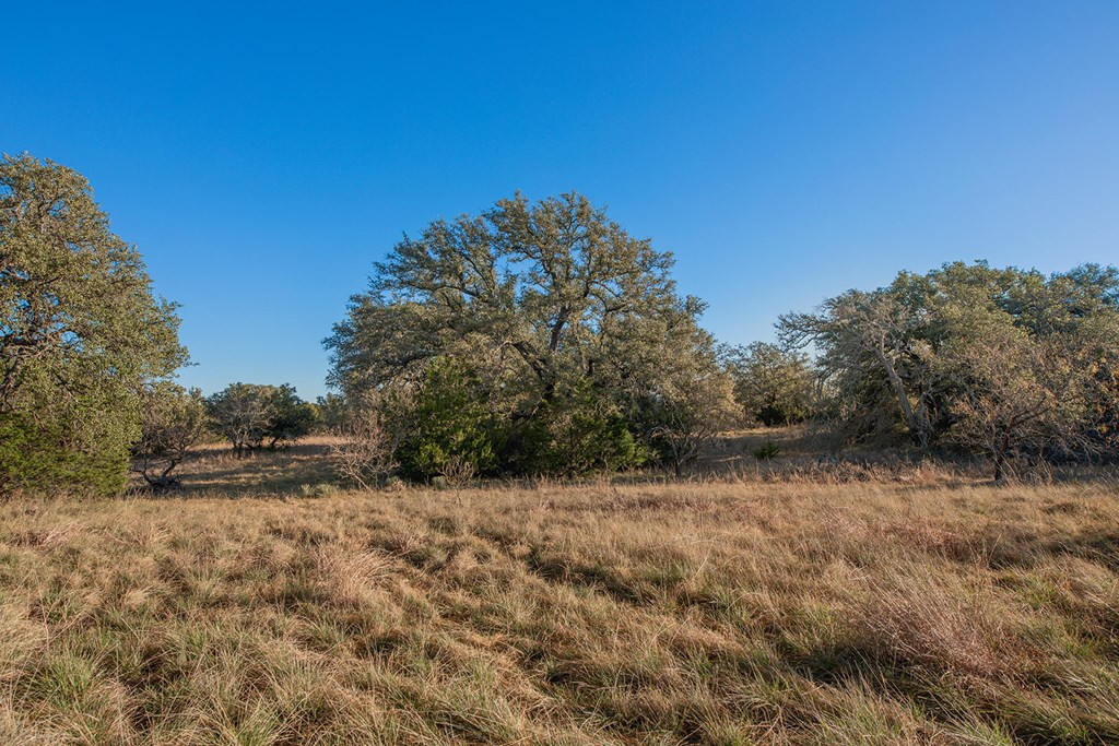 8536 W Fm 1222 Property Photo 42