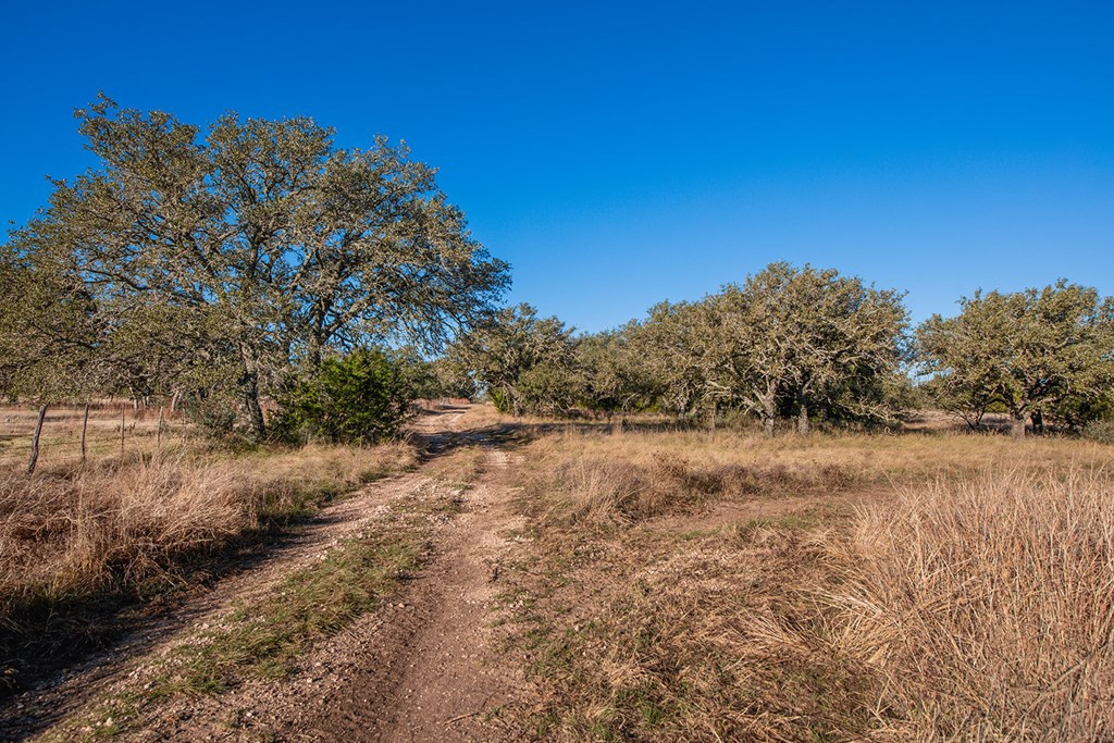 8536 W Fm 1222 Property Photo 43