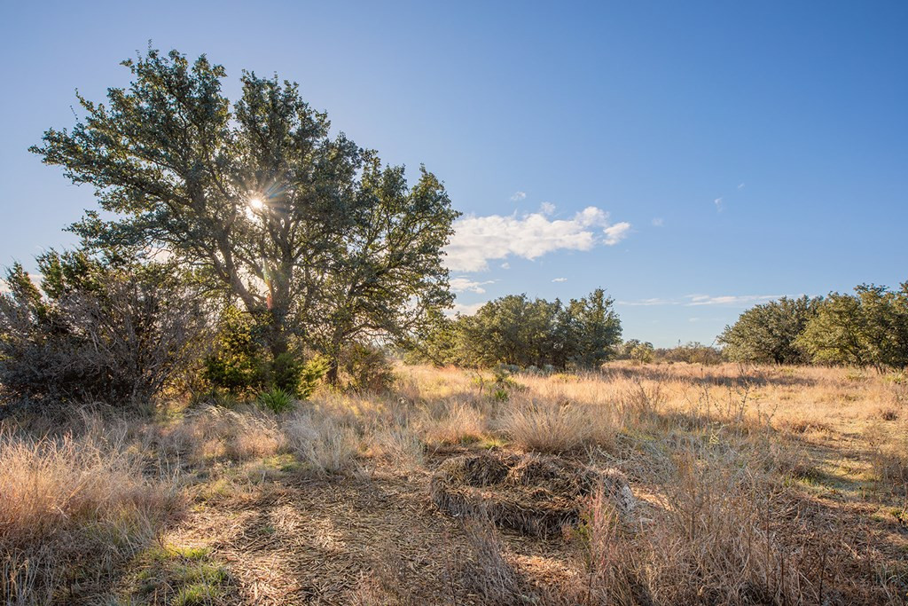 8536 W Fm 1222 Property Photo 49
