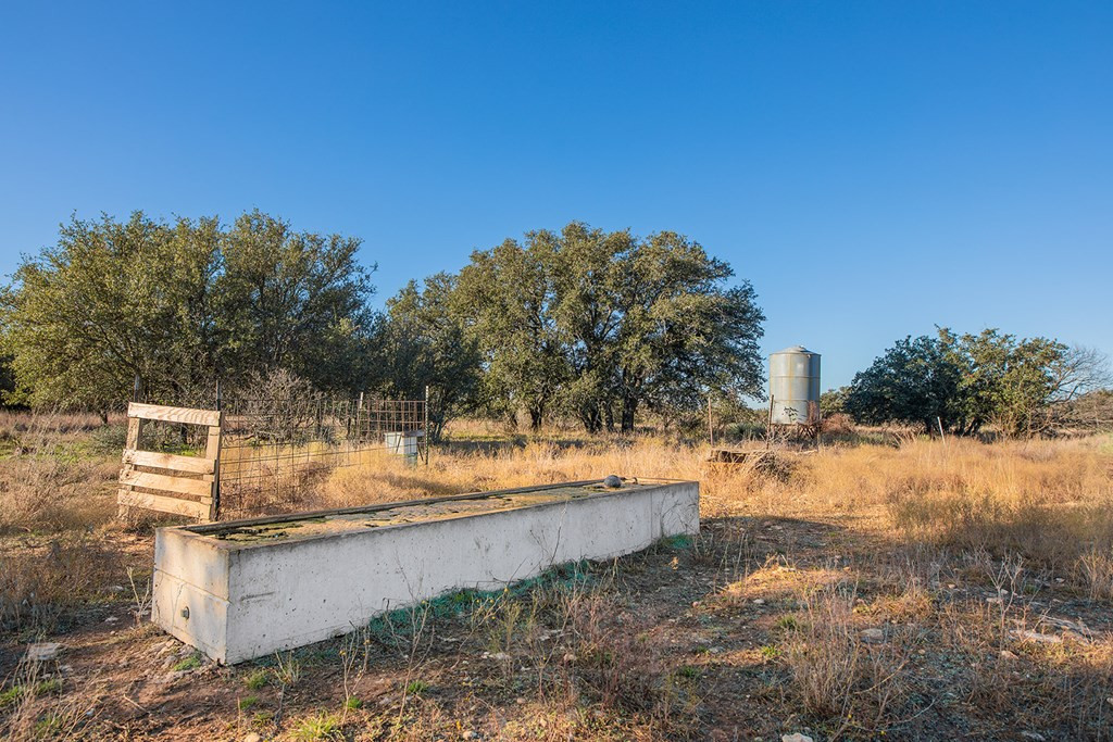 8536 W Fm 1222 Property Photo 50