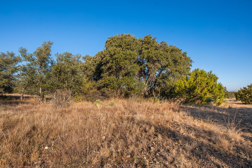 8536 W Fm 1222 Property Photo 53