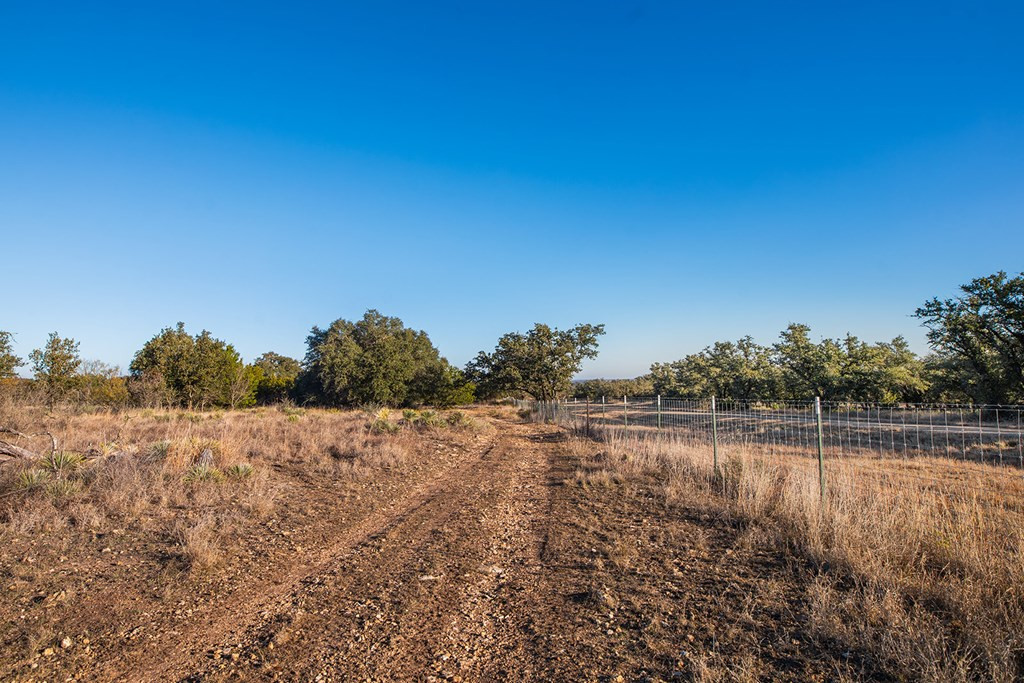 8536 W Fm 1222 Property Photo 55