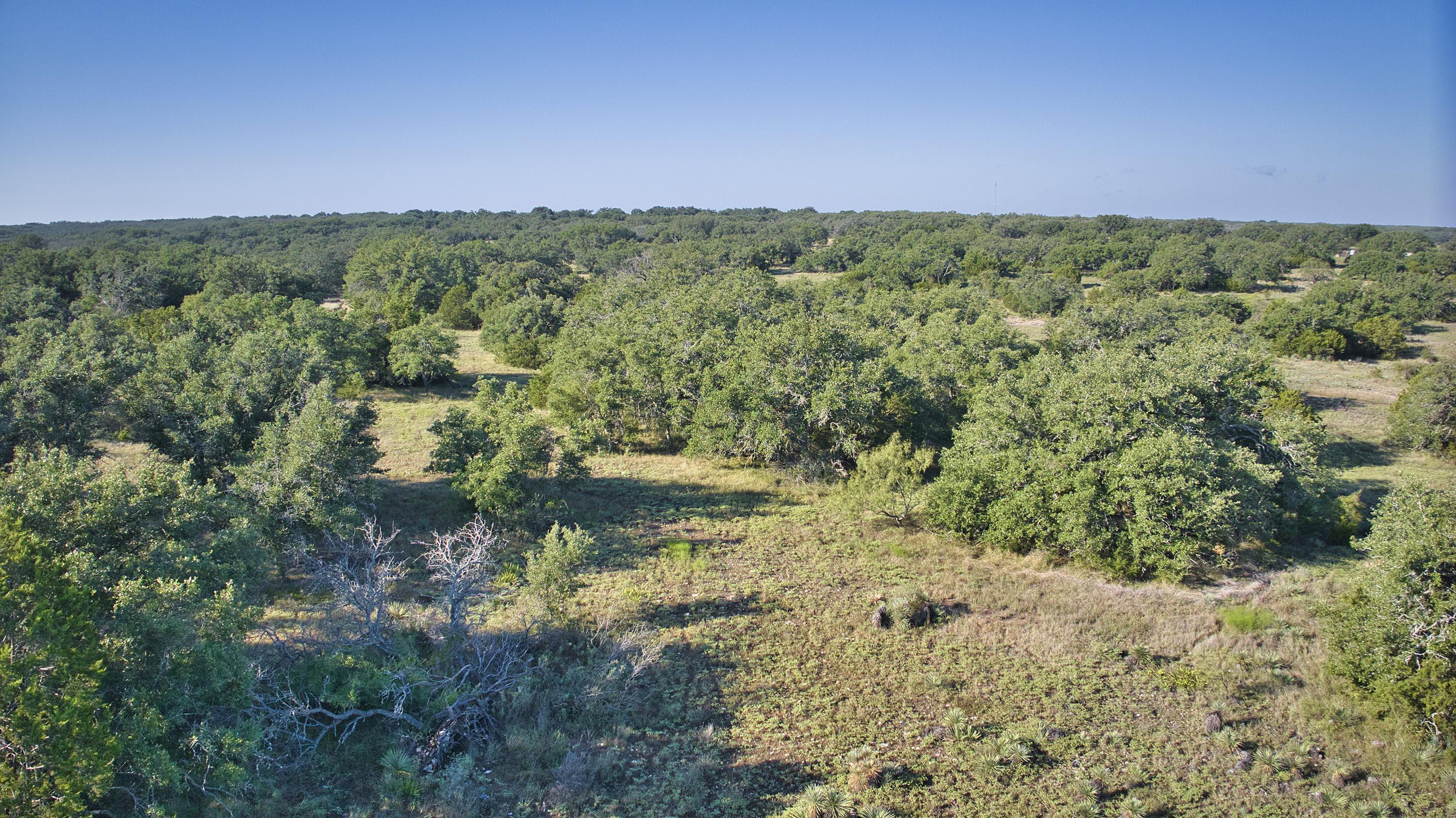8536 W Fm 1222 Property Photo 80