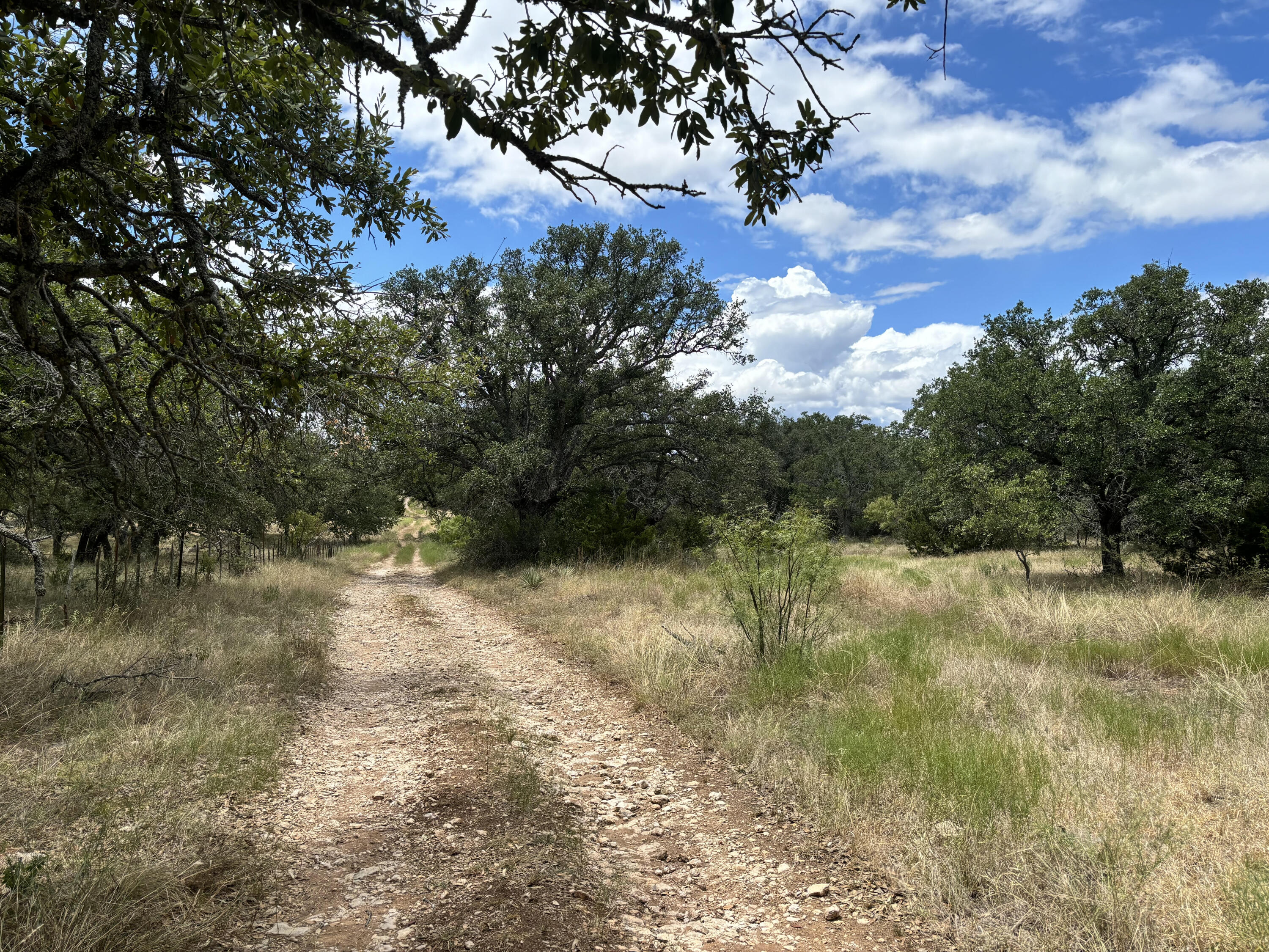 8536 W Fm 1222 Property Photo 86