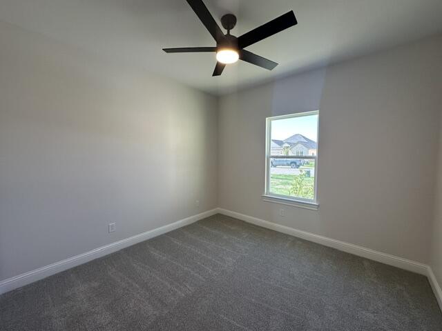 3124 Maplewood Drive Property Photo 13