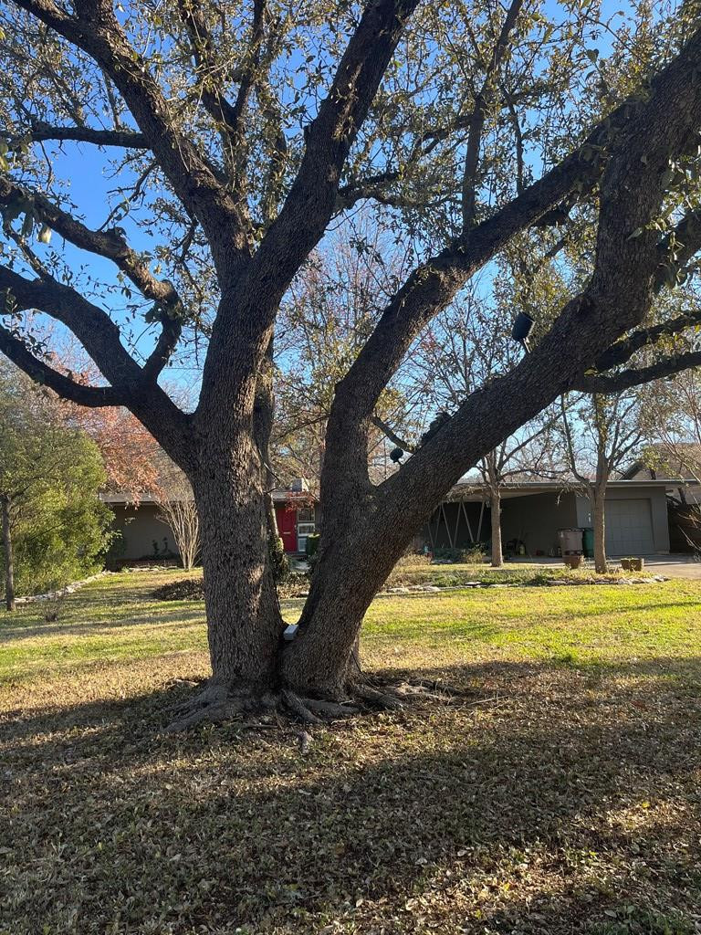 2539 Twohig Avenue Property Photo 4