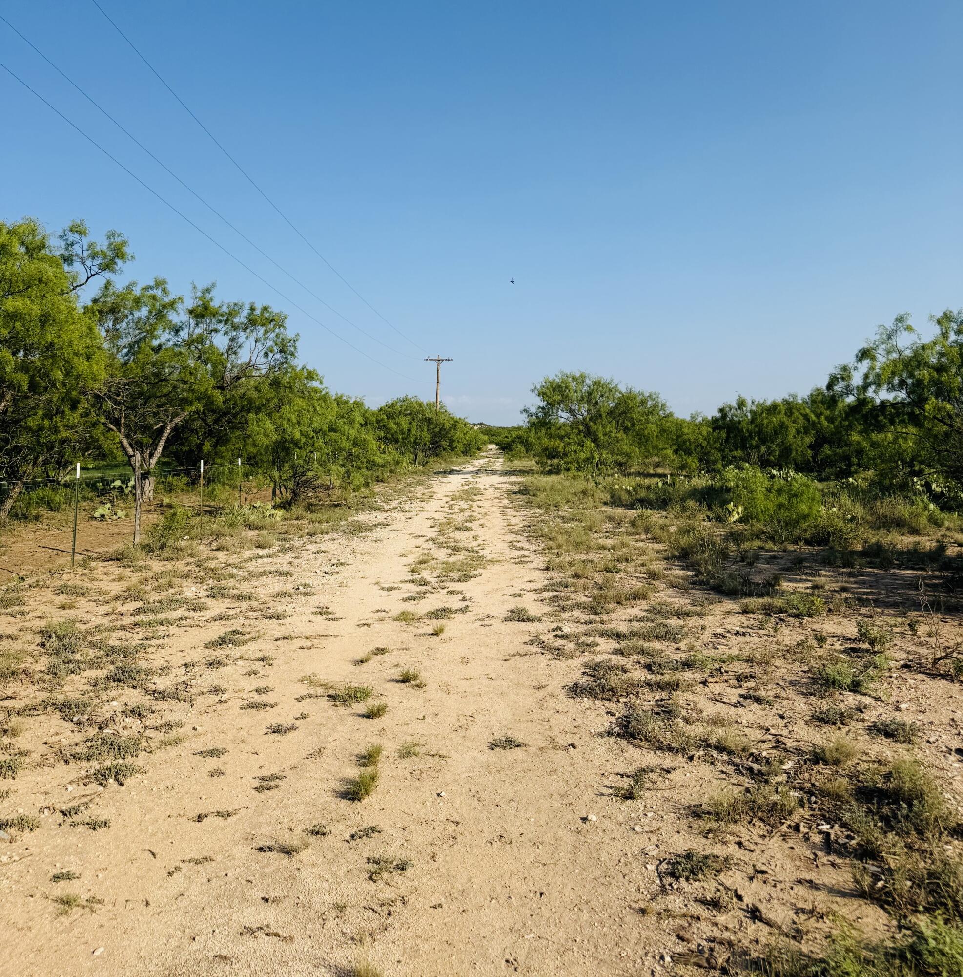 11993 Twin Lakes Lane Property Photo 4