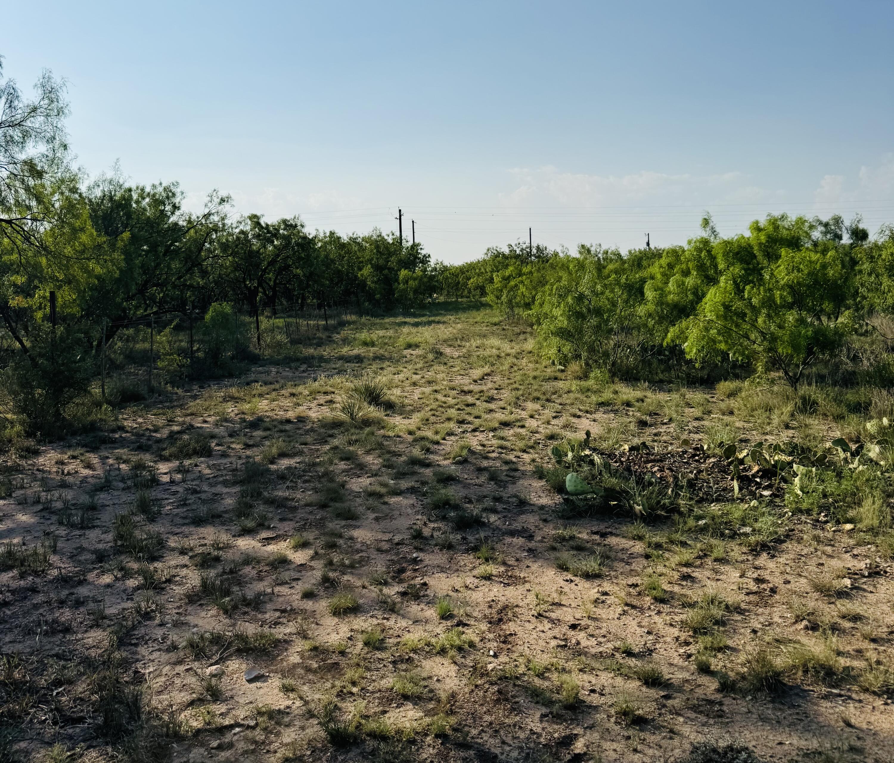 11993 Twin Lakes Lane Property Photo 8