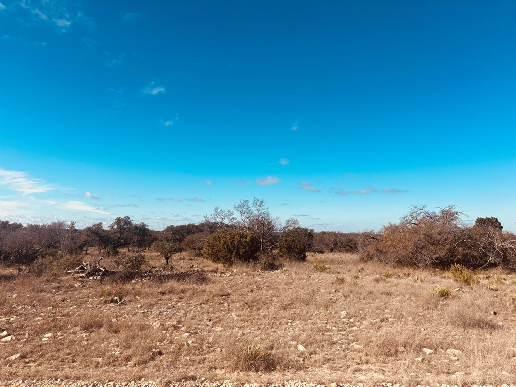 320 Turkey Run Road Property Photo 7