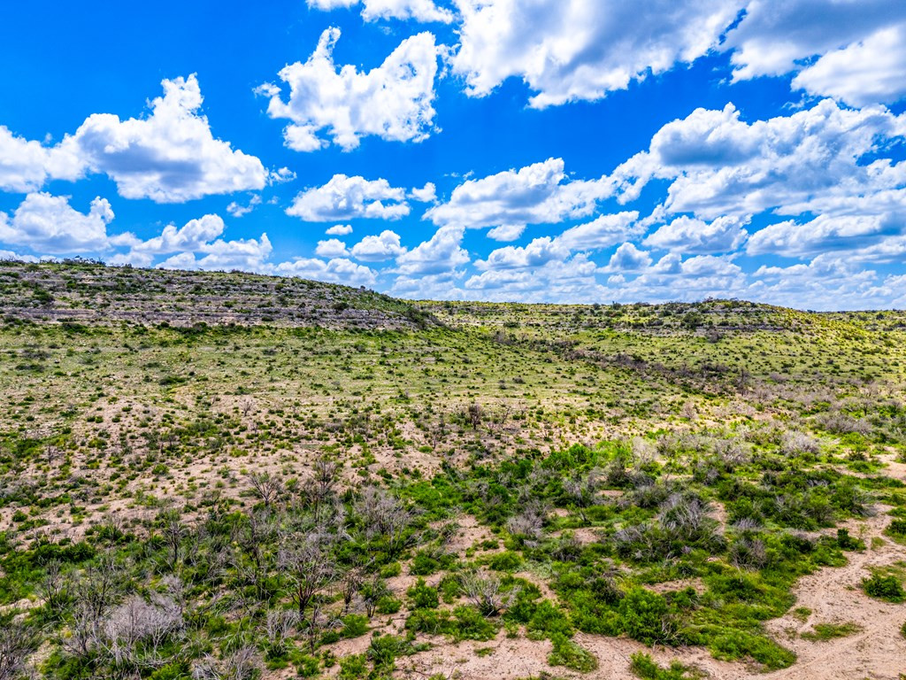 935 Ranch House Road Property Photo 4