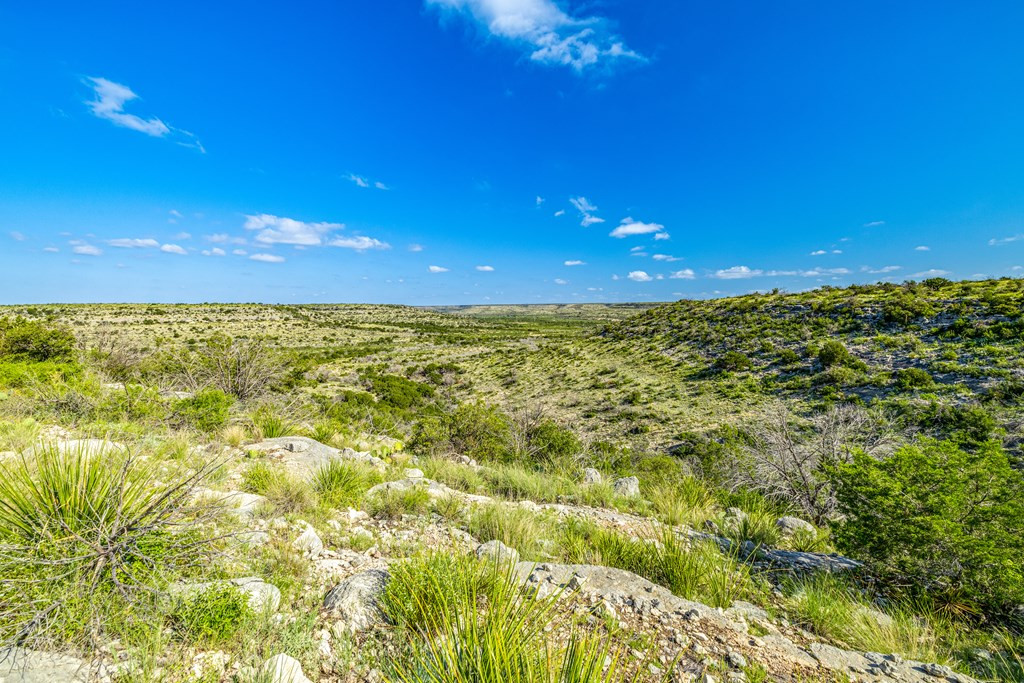 935 Ranch House Road Property Photo 17