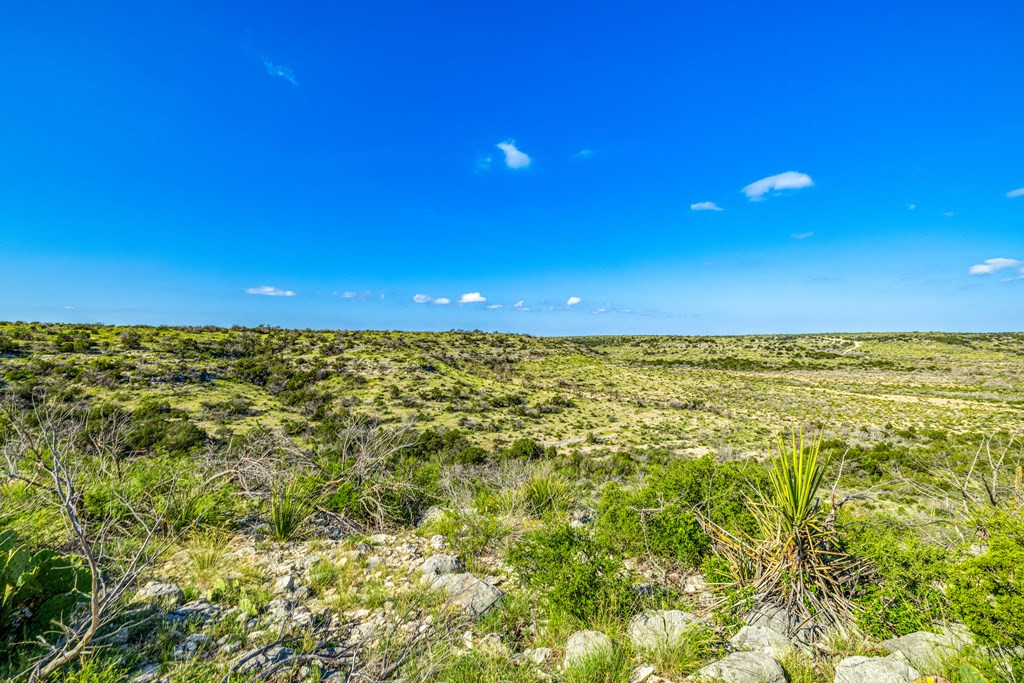 935 Ranch House Road Property Photo 19