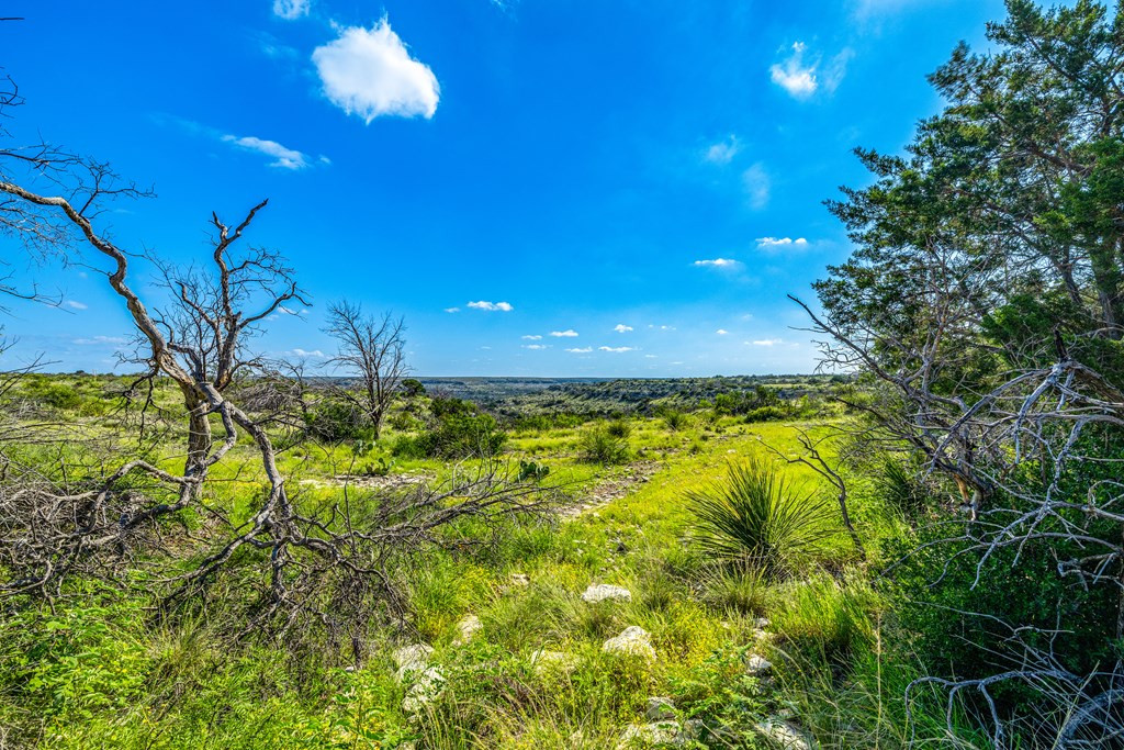 935 Ranch House Road Property Photo 21