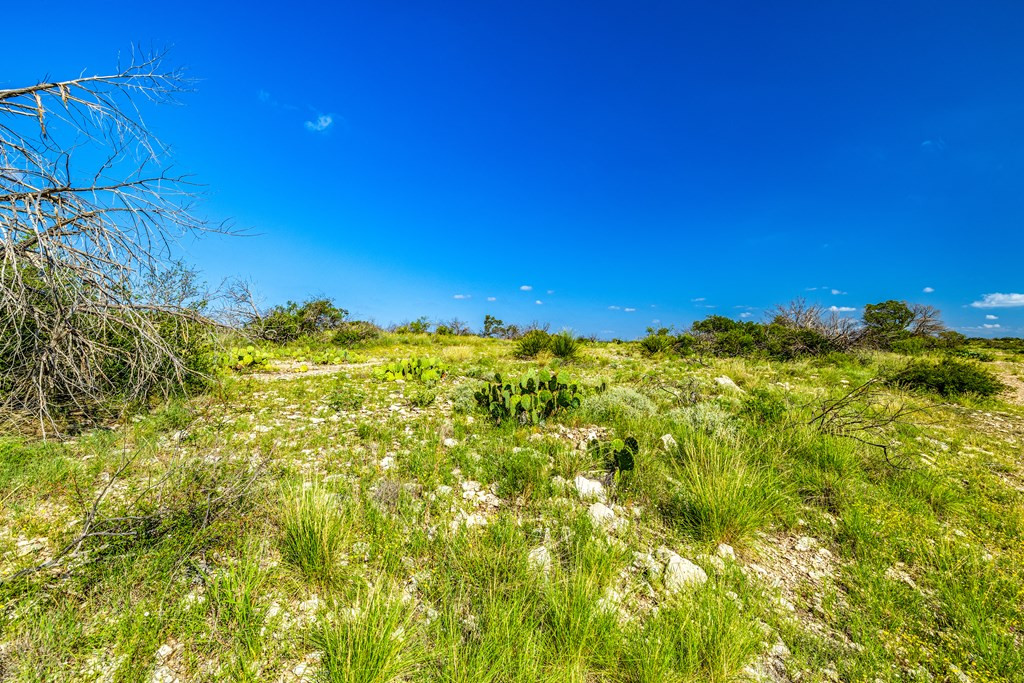 935 Ranch House Road Property Photo 25