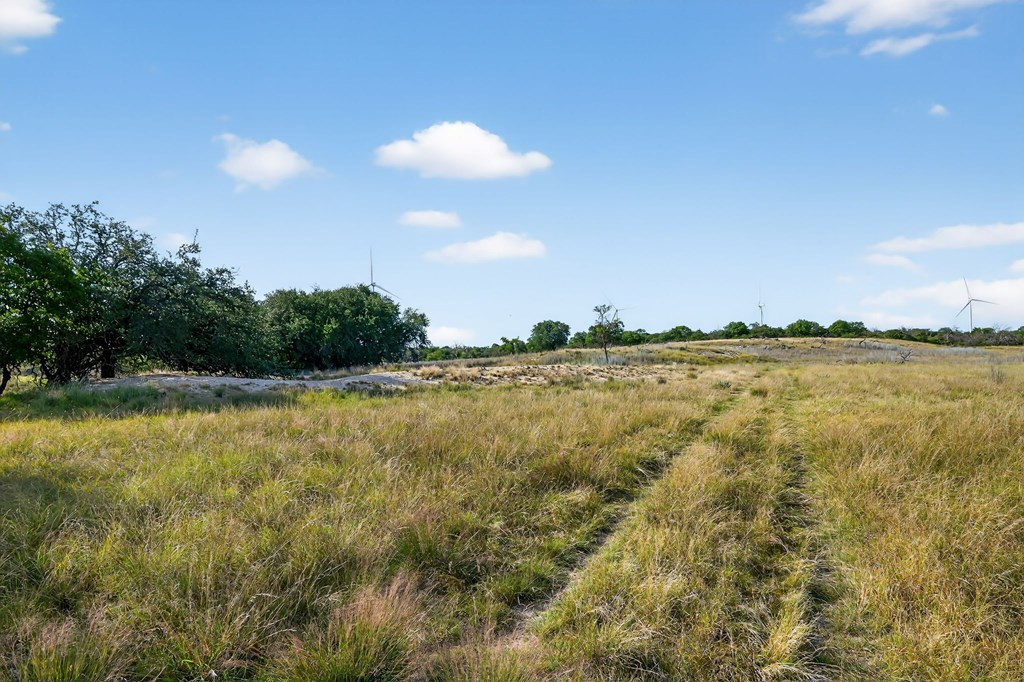 356 County Rd 132 Property Photo 10