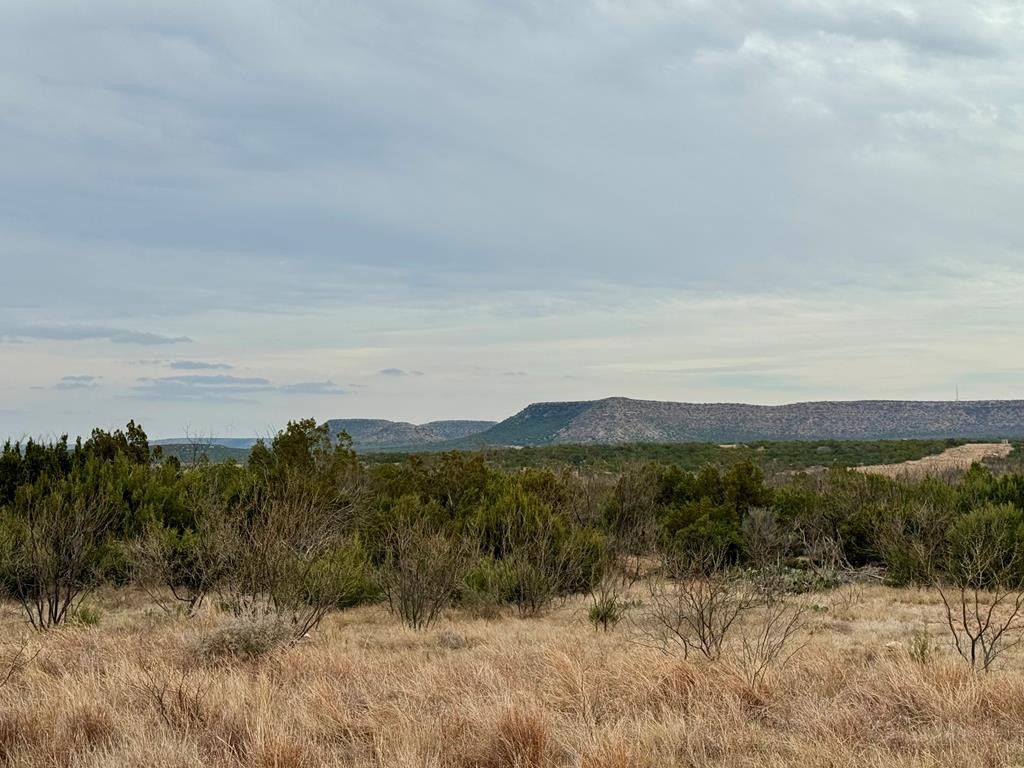 537 Lone Mills Road Property Photo 1