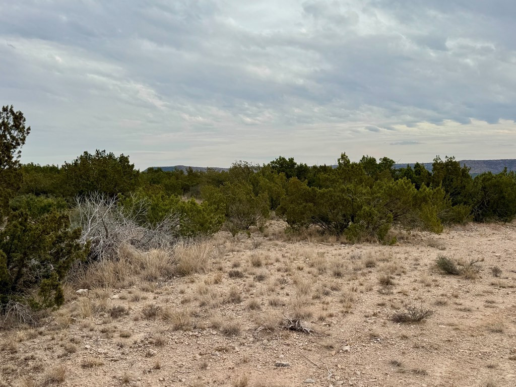 537 Lone Mills Road Property Photo 8