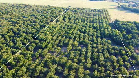 N/a Tx-16 Highway Property Photo 3