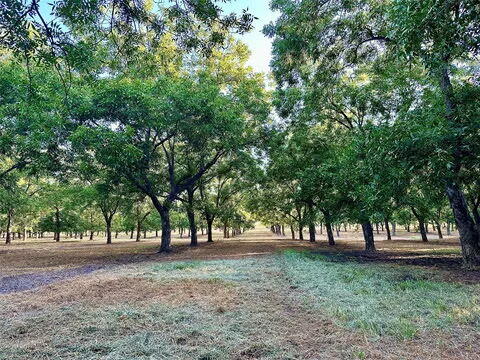 N/a Tx-16 Highway Property Photo 6