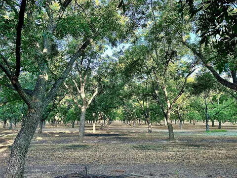 N/a Tx-16 Highway Property Photo 7