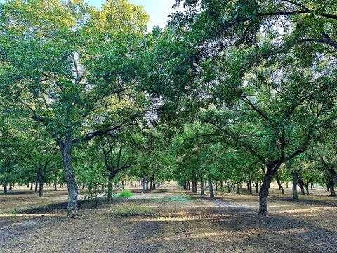 N/a Tx-16 Highway Property Photo 9