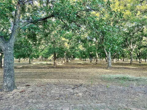 N/a Tx-16 Highway Property Photo 10