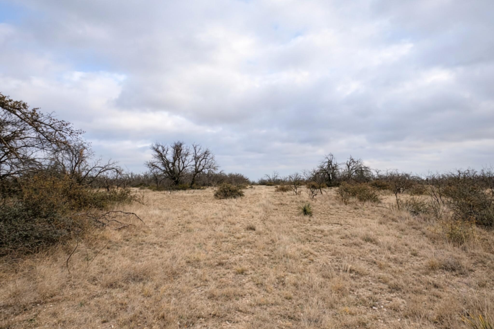 135 Shin Oak Spur Property Photo 9