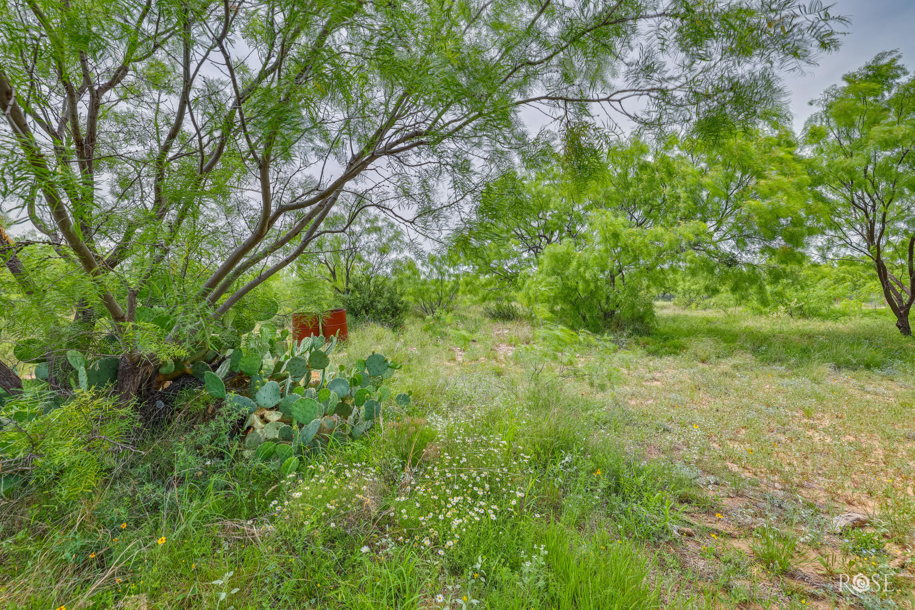 3219 Lakota Lane Property Photo 38