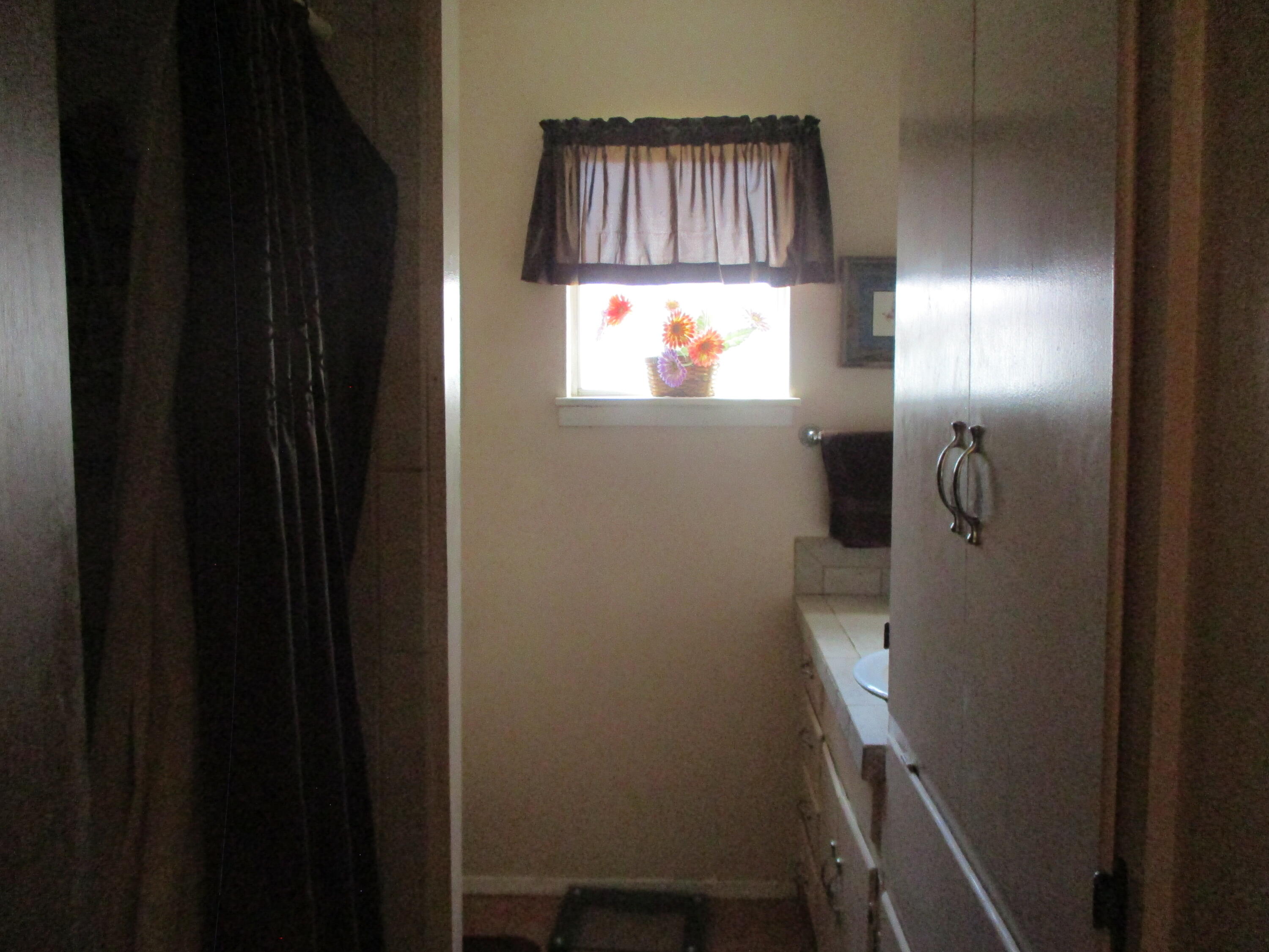 1709 Dove Creek Drive Property Photo 7