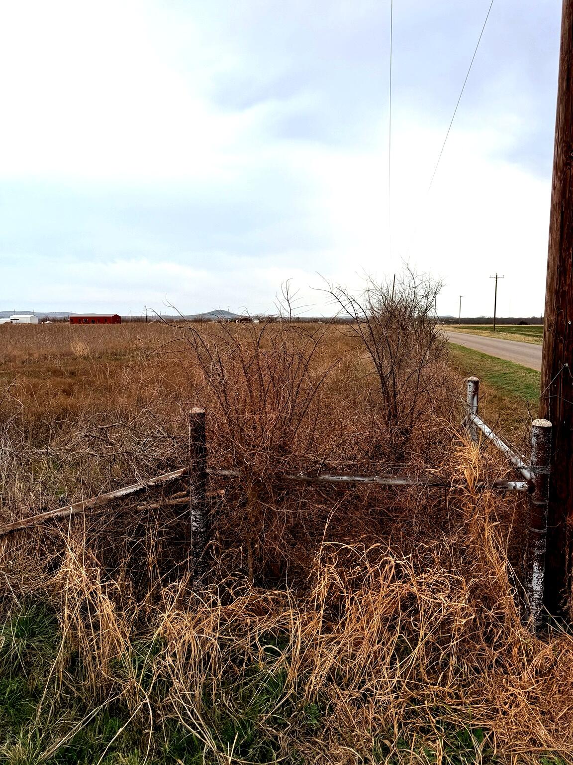 9776 W Grape Creek Road Property Photo 6