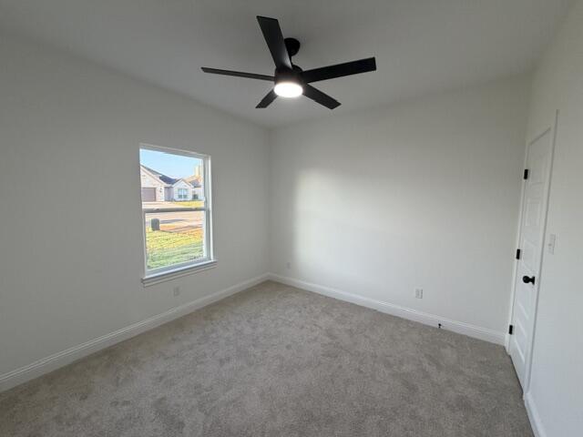 3114 Maplewood Drive Property Photo 5