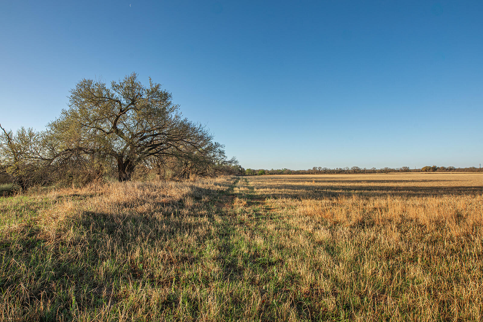 9030 County Road 266 Property Photo 4