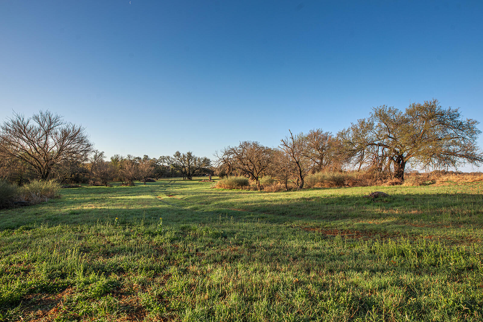9030 County Road 266 Property Photo 5