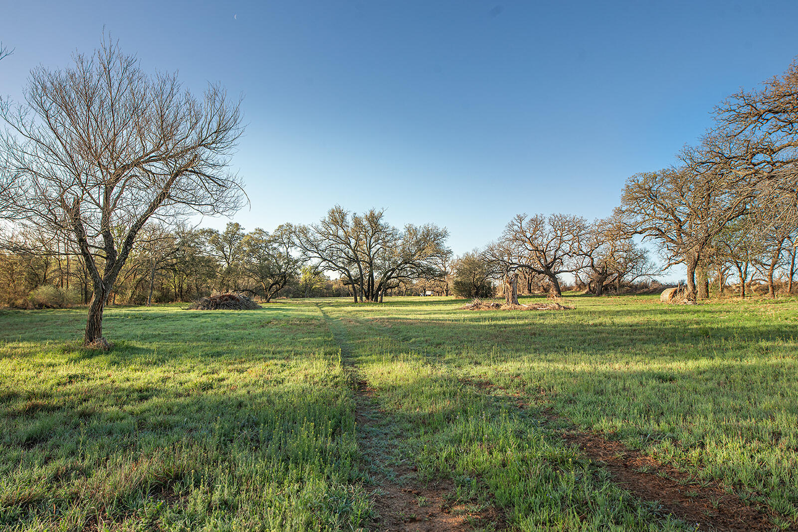 9030 County Road 266 Property Photo 8