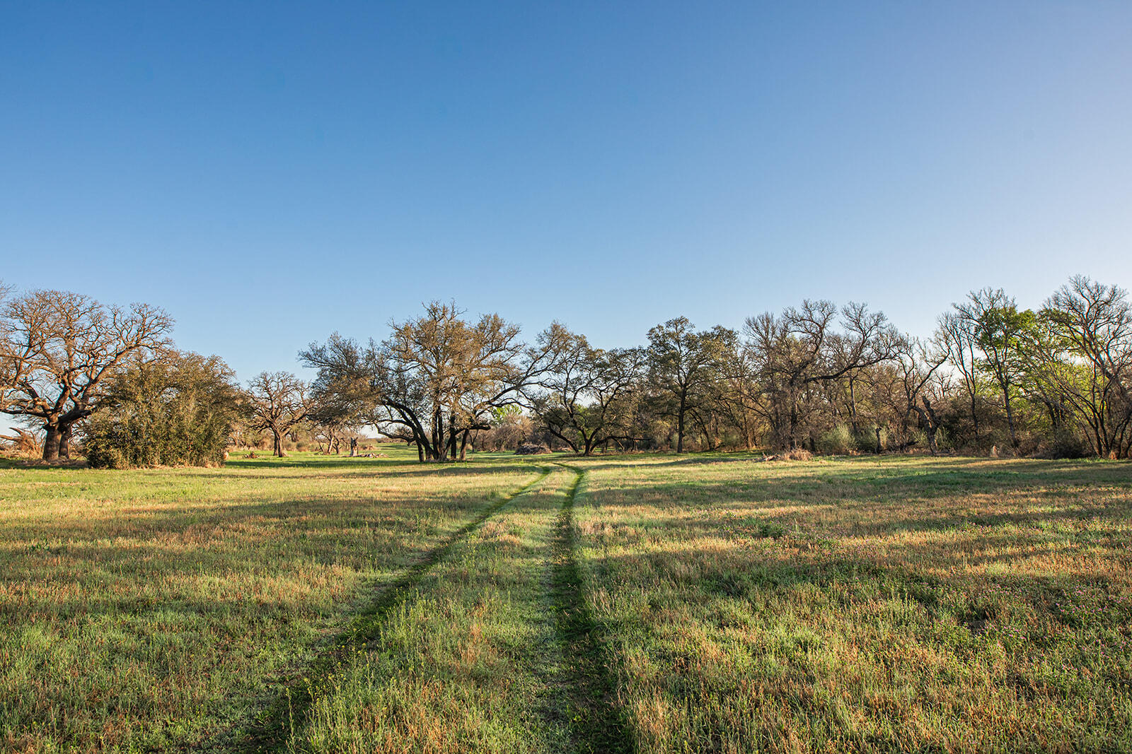 9030 County Road 266 Property Photo 11