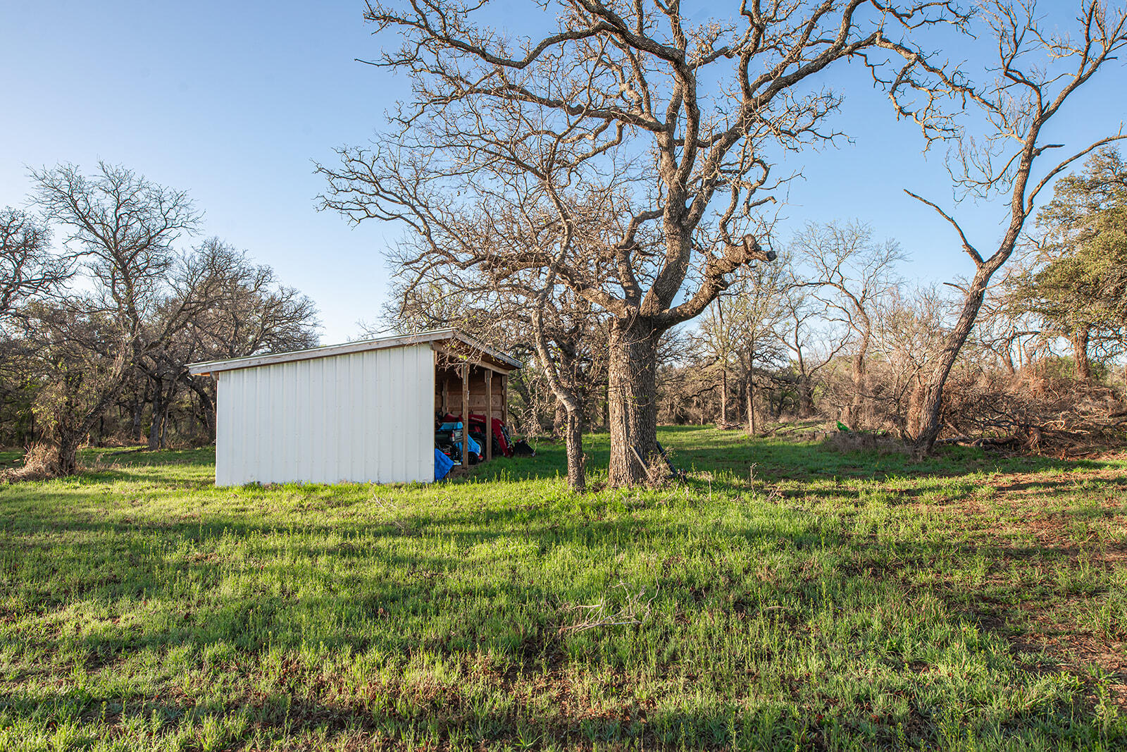 9030 County Road 266 Property Photo 16