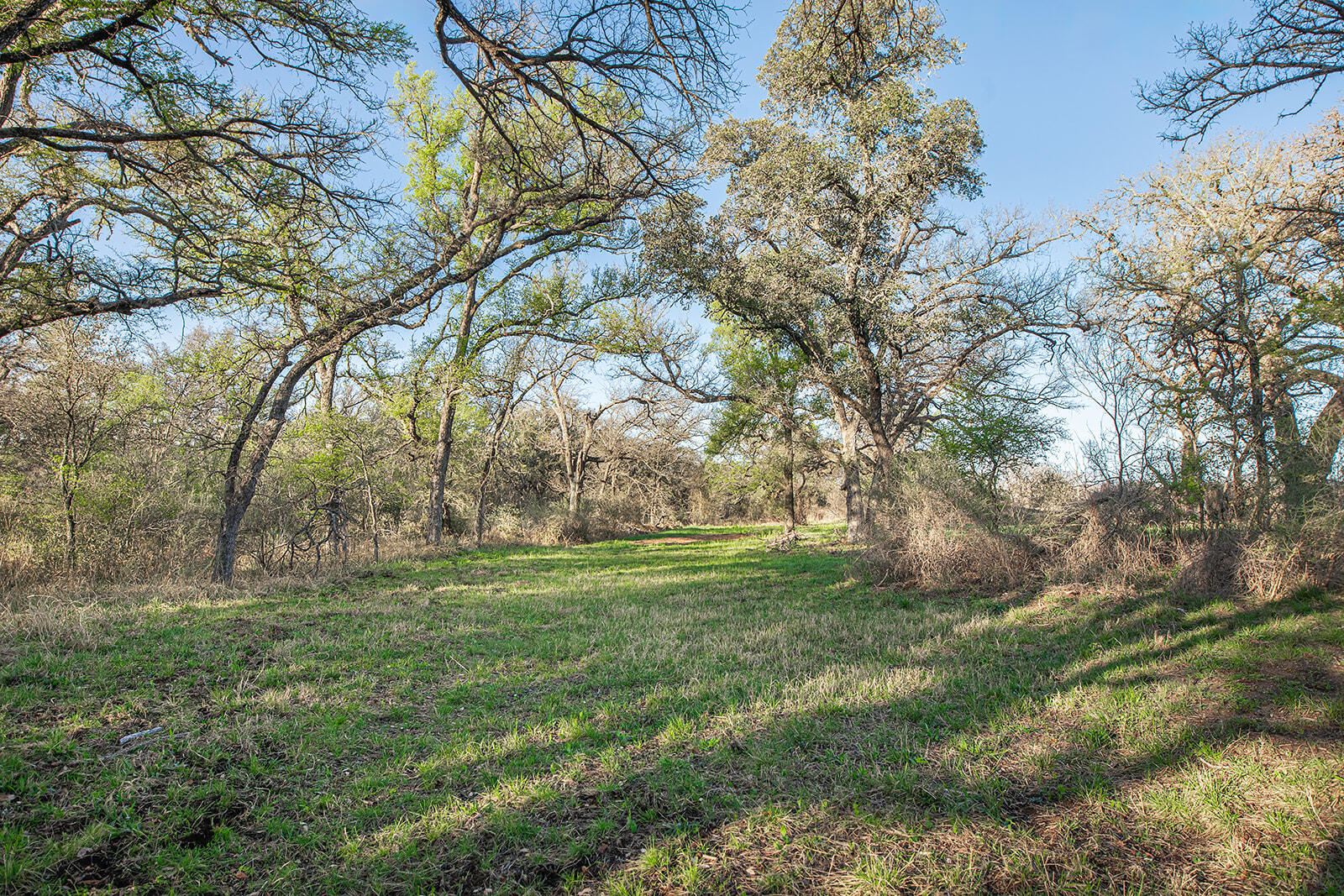 9030 County Road 266 Property Photo 21