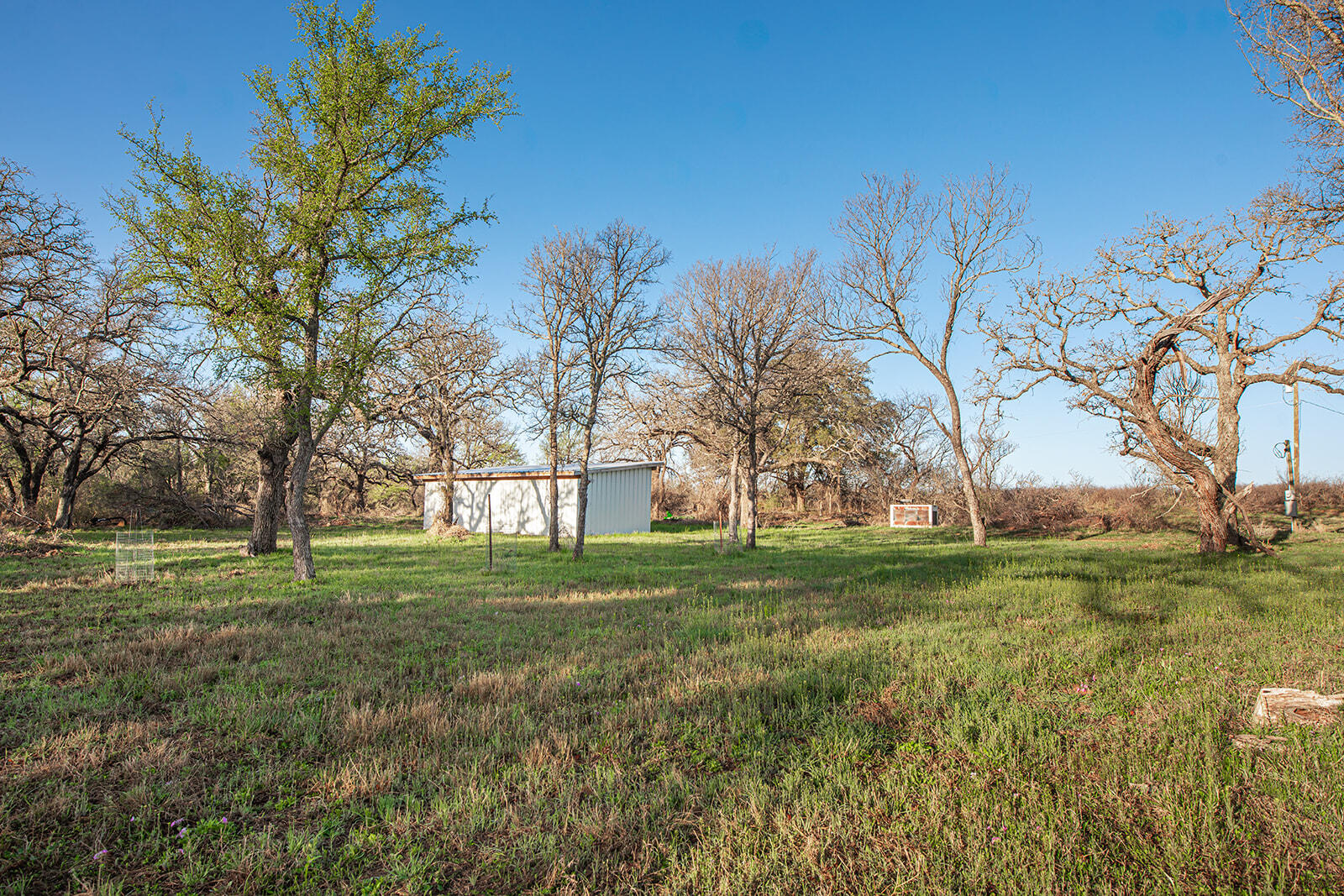 9030 County Road 266 Property Photo 26