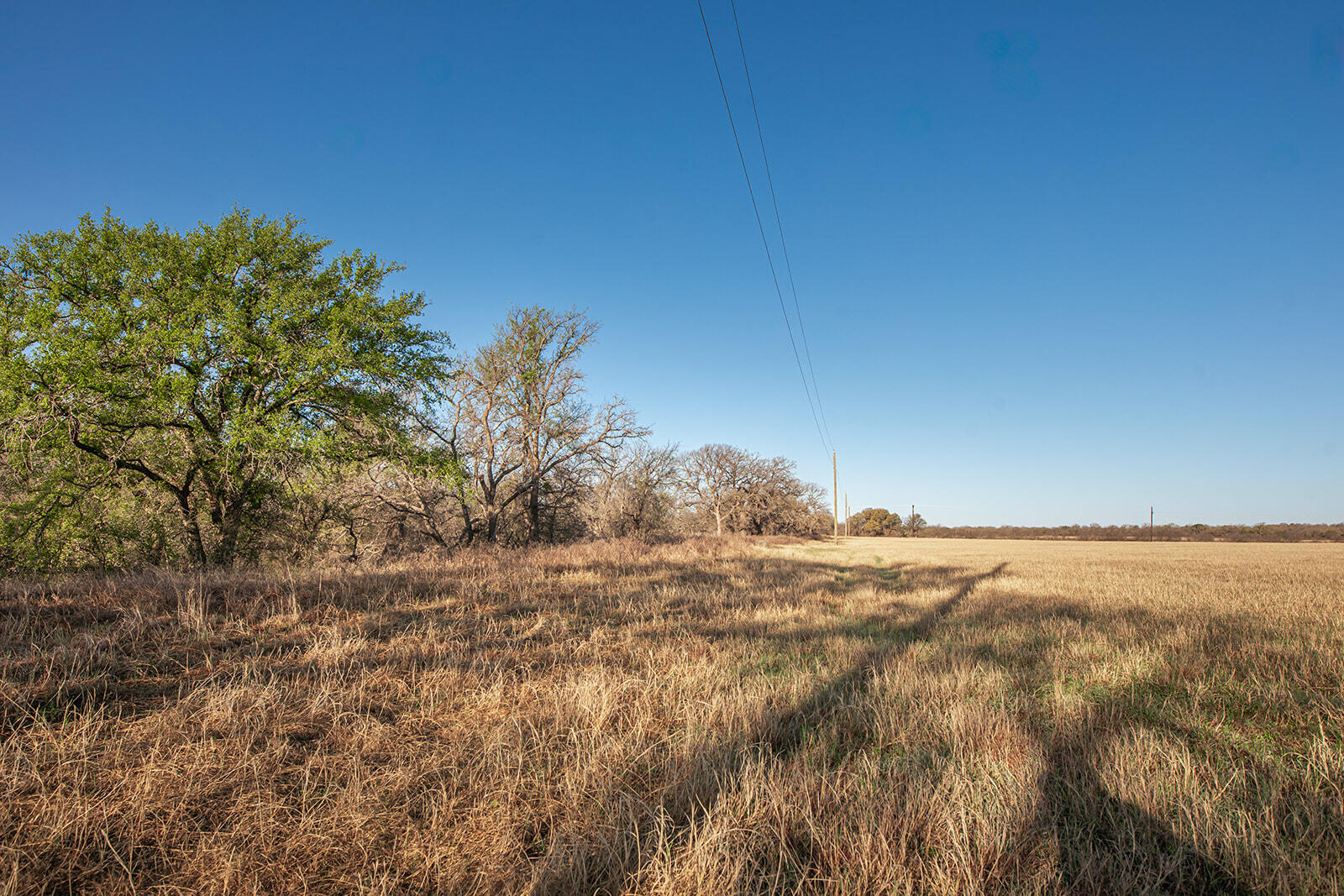 9030 County Road 266 Property Photo 29
