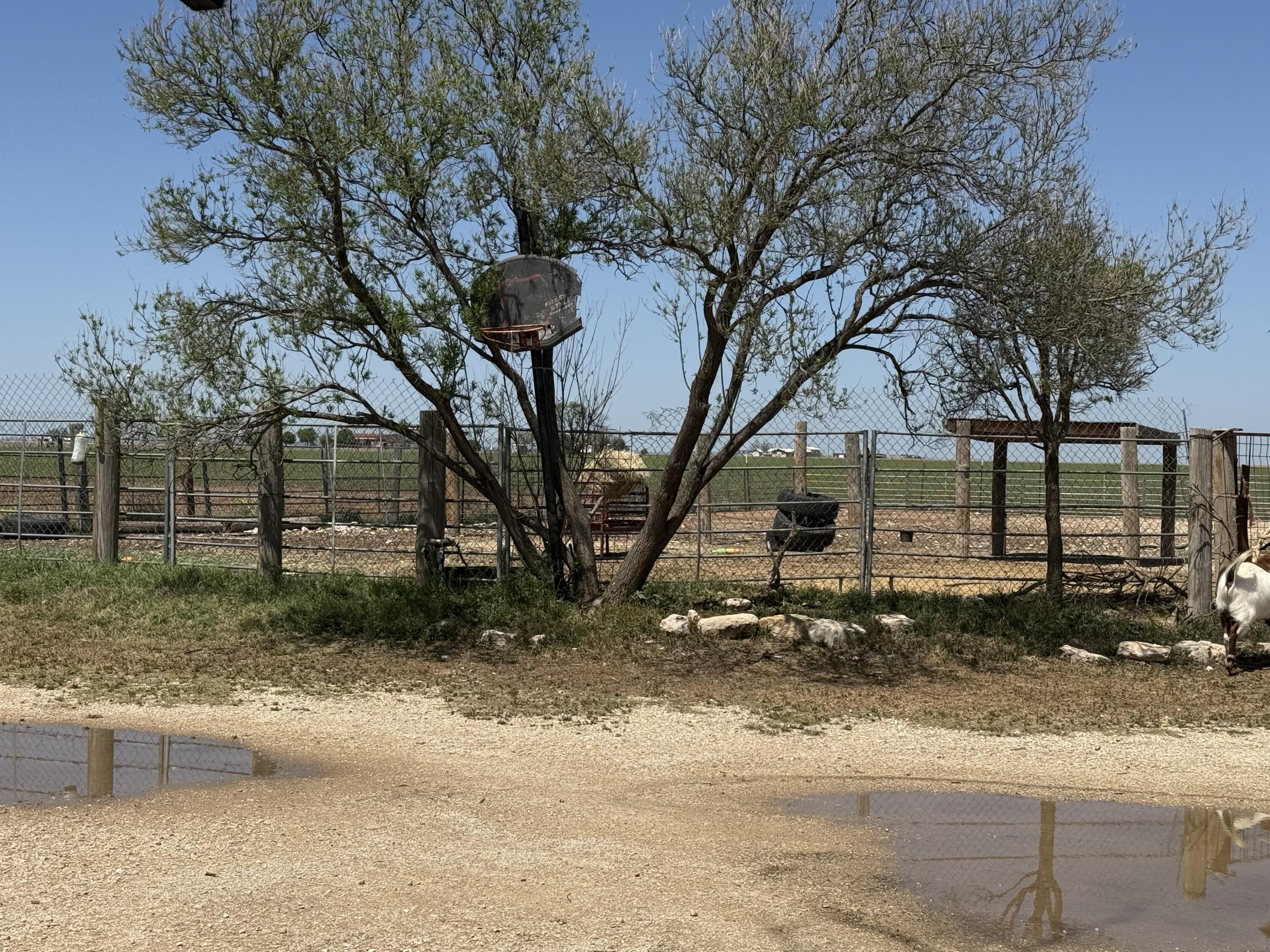 11634 Fm 388 Property Photo 19