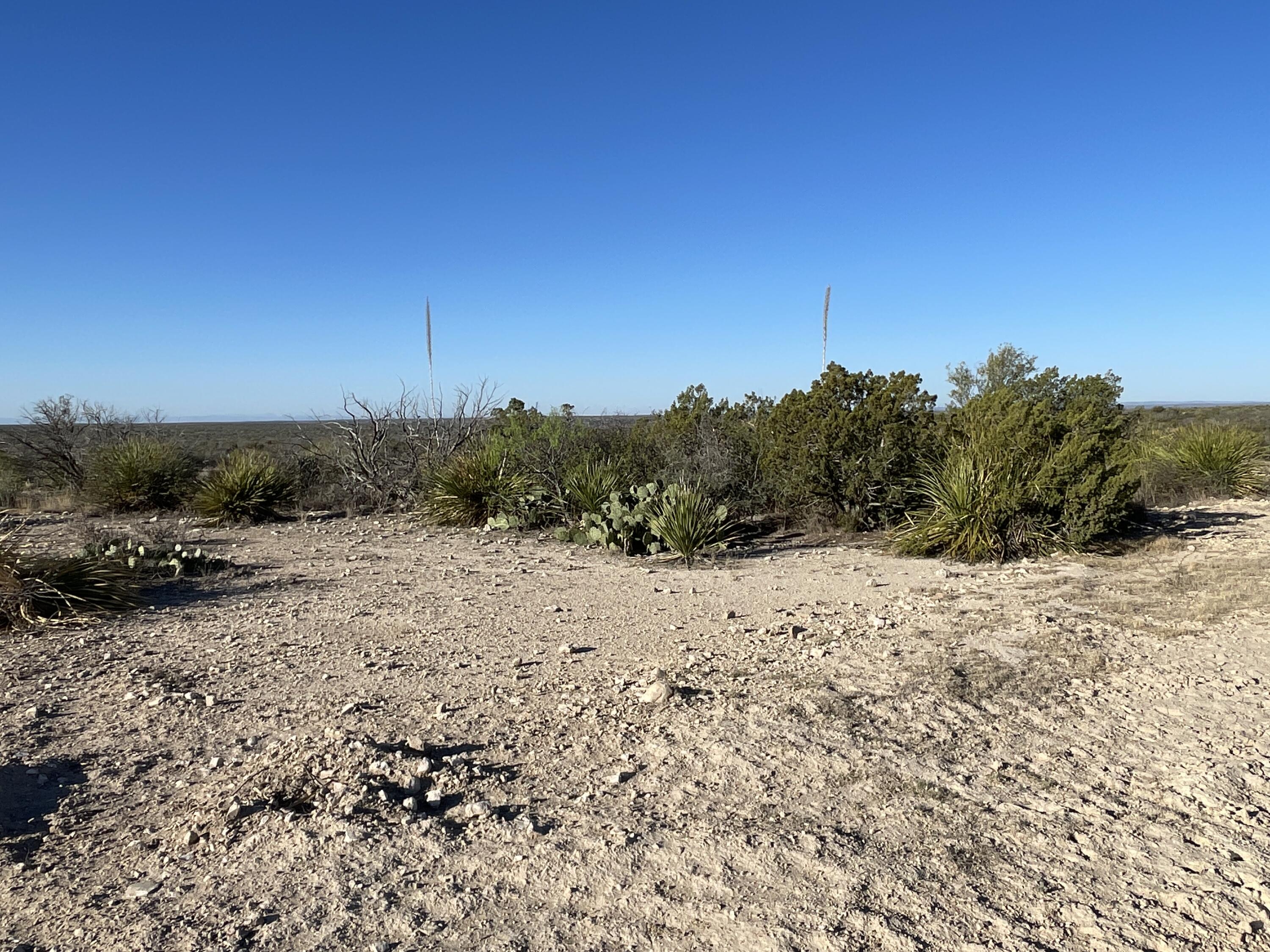 Tbd 0000 N State Highway 349 Property Photo 43