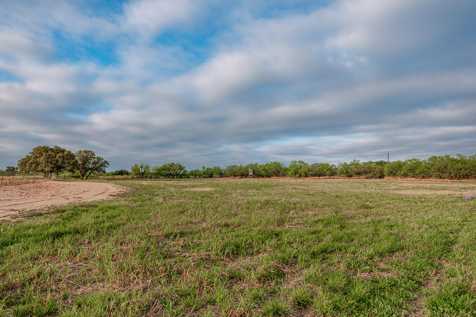 2610 Fm 1028 Property Photo 10