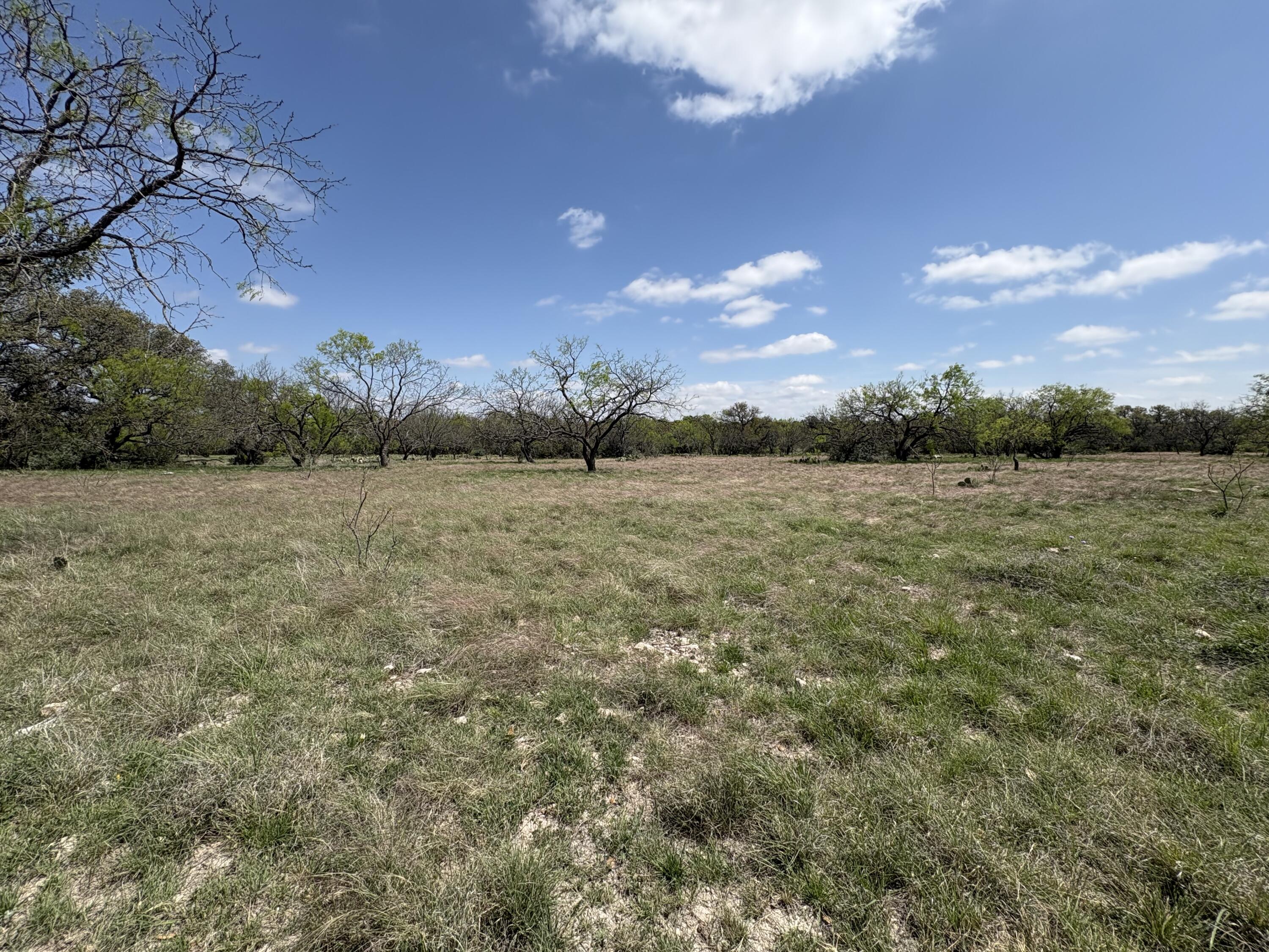 0 Elm Spgs Trail Property Photo 1