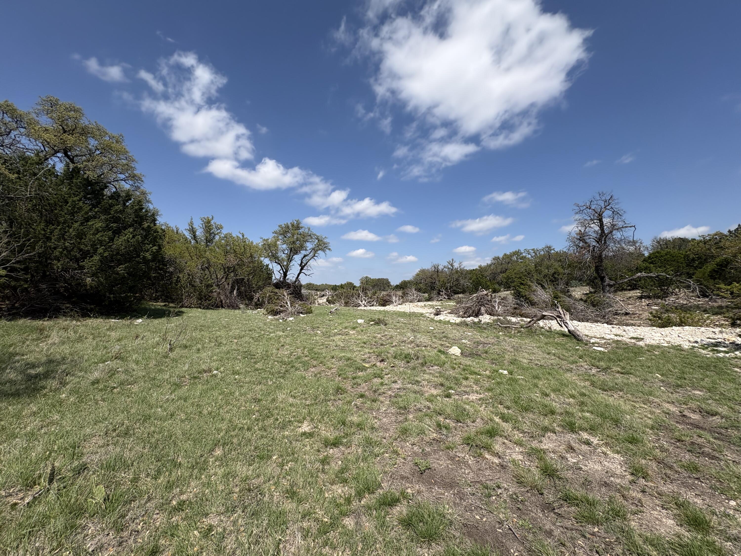 0 Elm Spgs Trail Property Photo 3