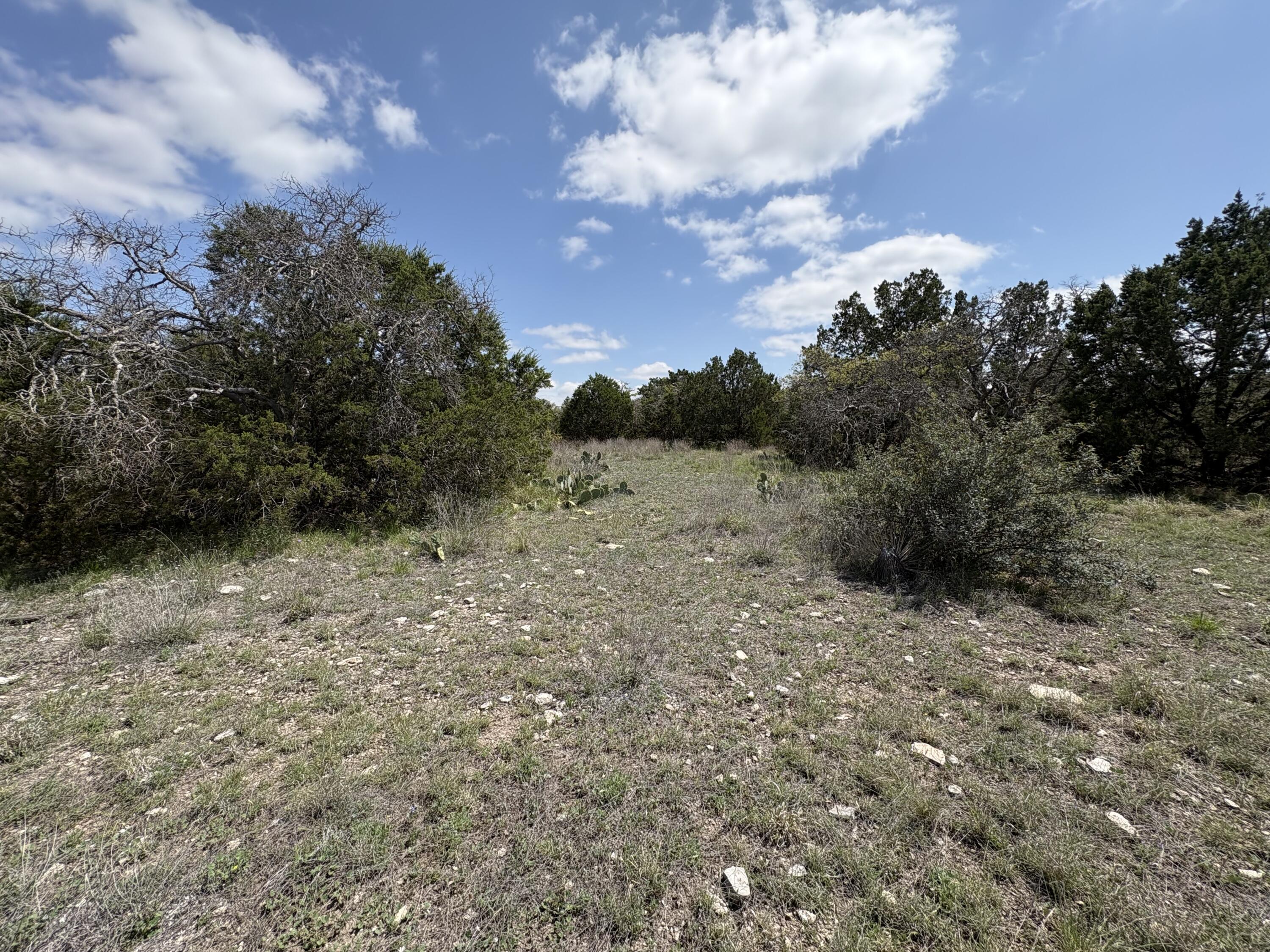 0 Elm Spgs Trail Property Photo 4