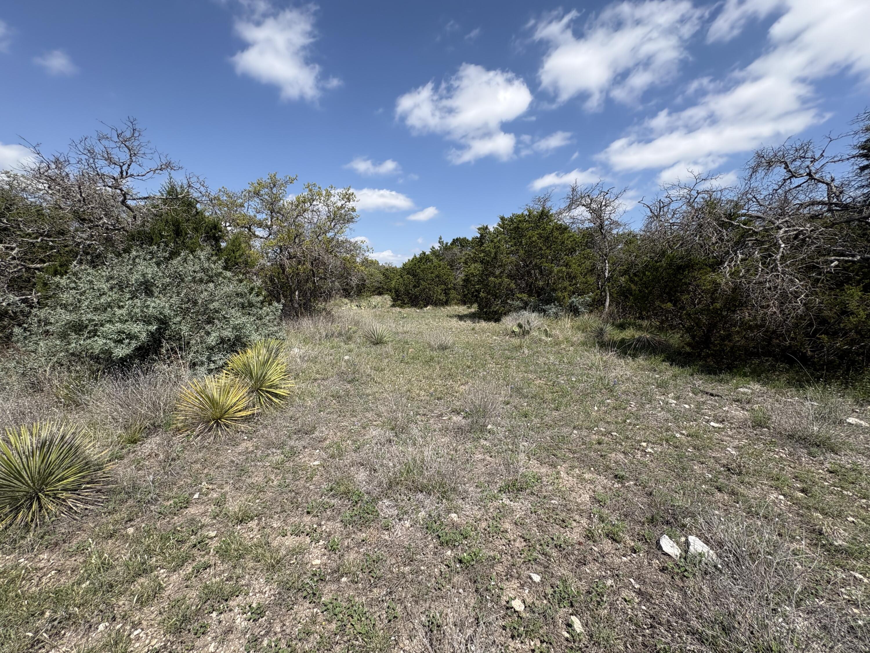 0 Elm Spgs Trail Property Photo 5