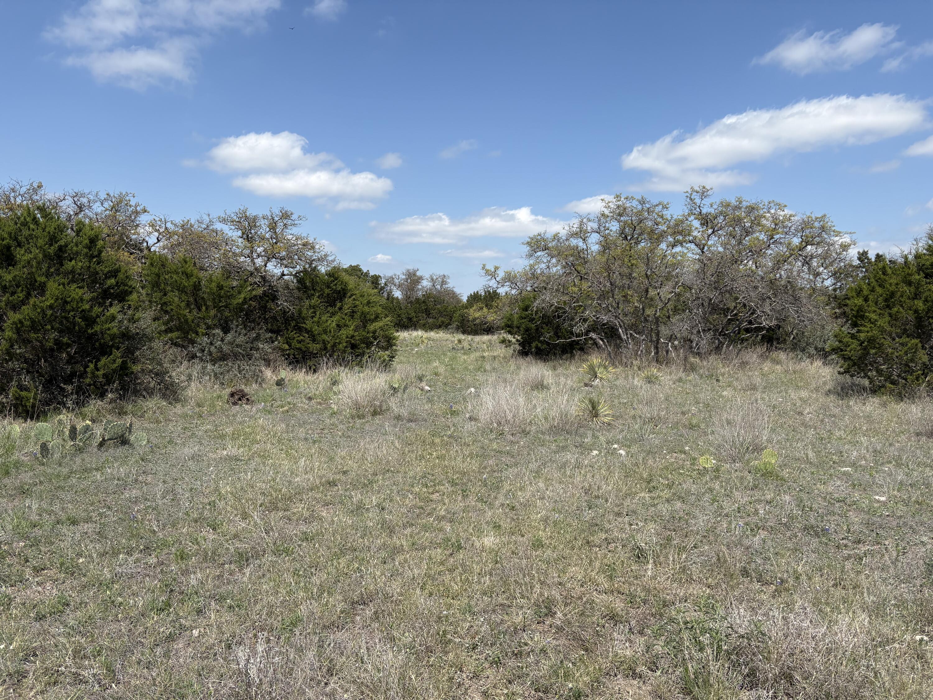 0 Elm Spgs Trail Property Photo 6
