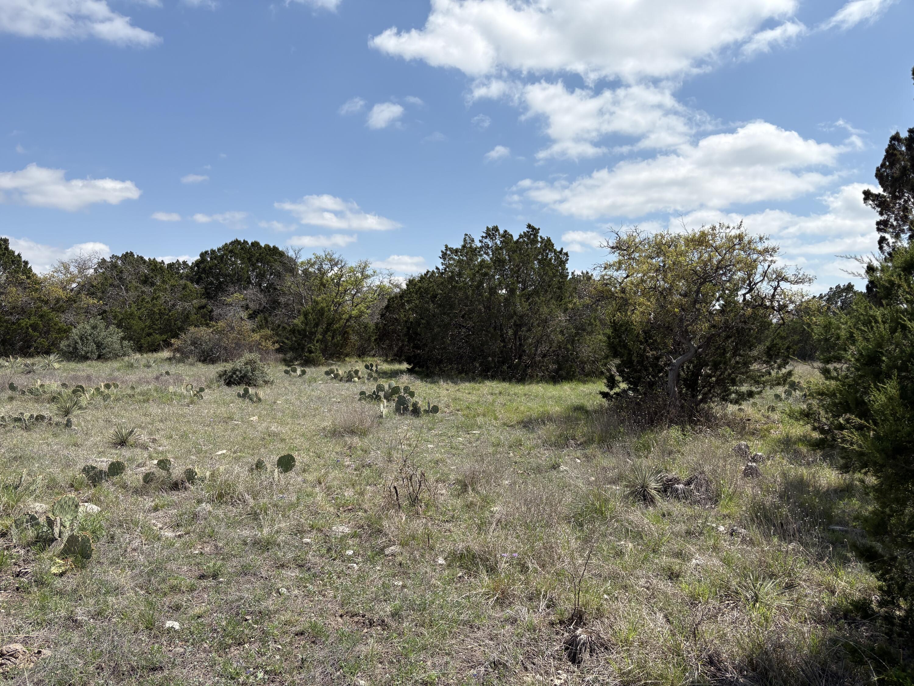 0 Elm Spgs Trail Property Photo 7