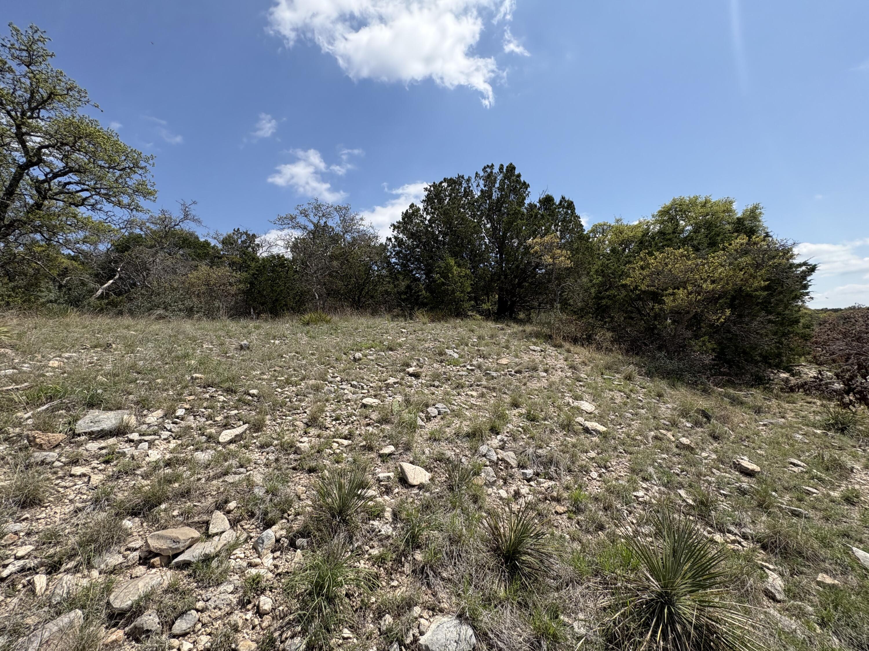 0 Elm Spgs Trail Property Photo 10