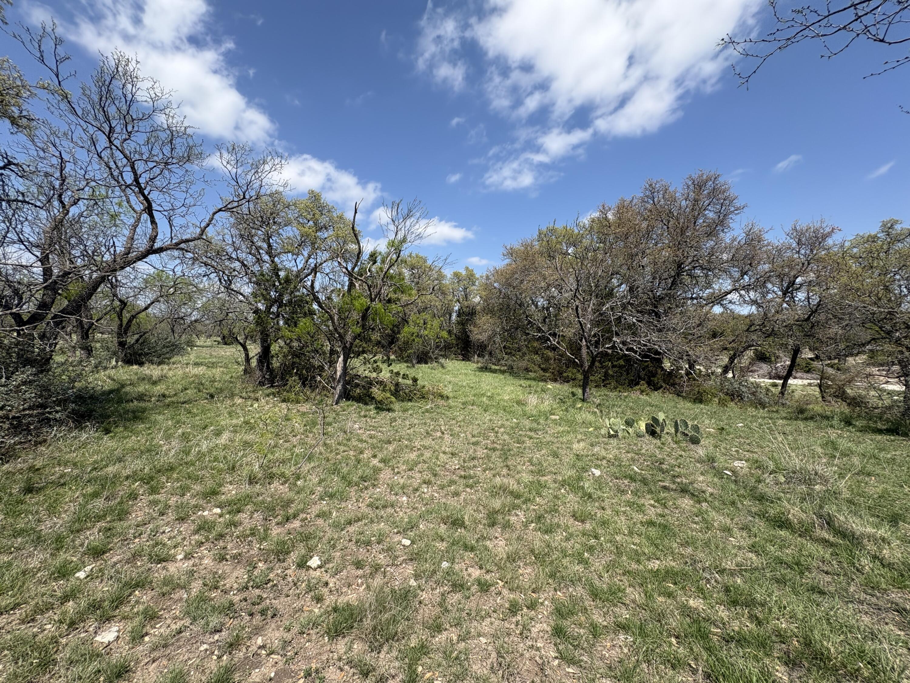 0 Elm Spgs Trail Property Photo 12